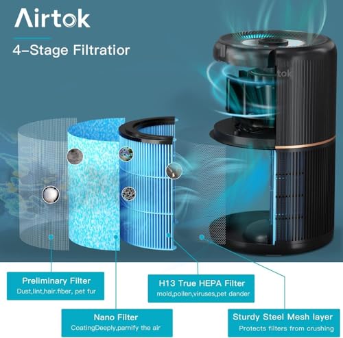 AIRTOK Purificatore Aria, Purificatore d'Aria per Allergie con Spugna Aromatica, Filtro H13 HEPA rimuove il 99,97% di polvere, polline e odori di animali domestici, con Luce notturna, 25dB - Prova pratica