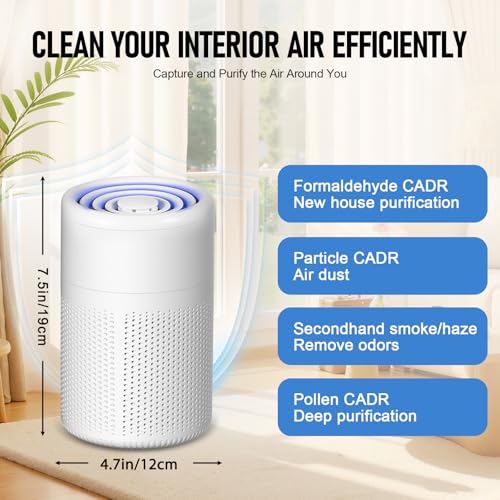 Purificatore d'Aria con Filtro HEPA, Portatile USB, Doppia Filtrazione, Elimina Odori Fumo Polvere e Peli Animali, Ultra Silenzioso, 5W, per Casa Auto Ufficio fino a 10m² - Prova pratica