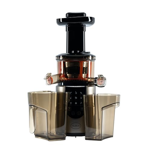 RGV 110851 Estrattore, 200 watts - Funzionalità e accessori